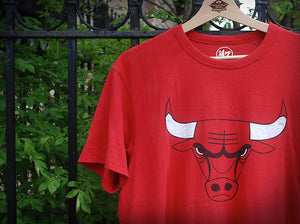Shop Chicago Bulls T-Shirts, at Wrigleyville Sports!