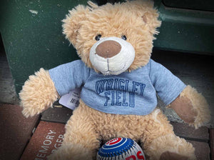 Shop Kids Corner, at Wrigleyville Sports!