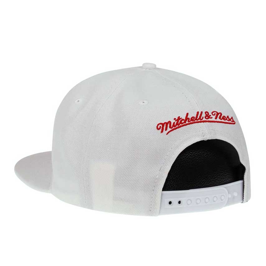 Chicago Bulls 1991 NBA Champions Snapback