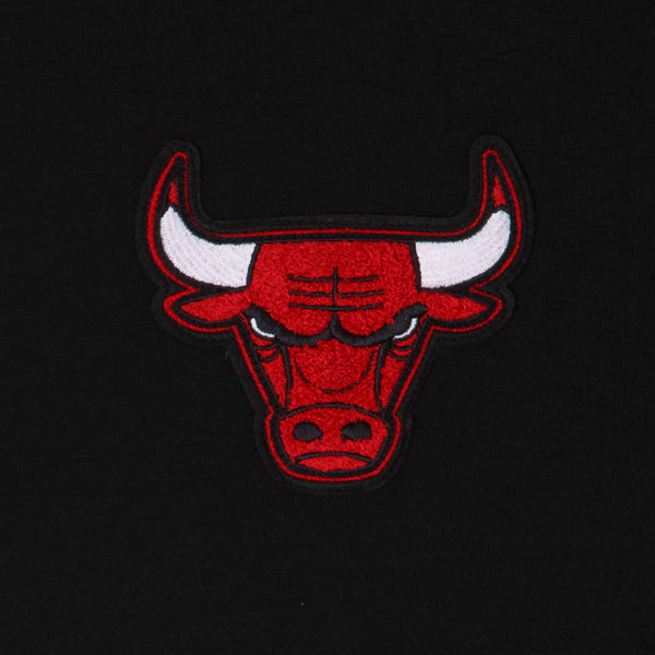 Chicago Bulls Logo Select All Star Game Hooded Sweatshirt