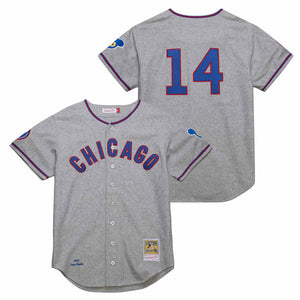 Ernie Banks