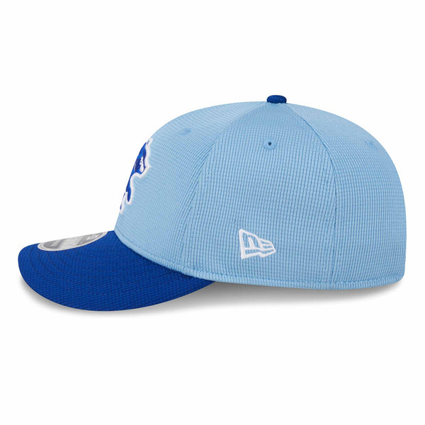 Chicago Cubs 2024 Spring Training Low Profile 9FIFTY Adjustable Cap