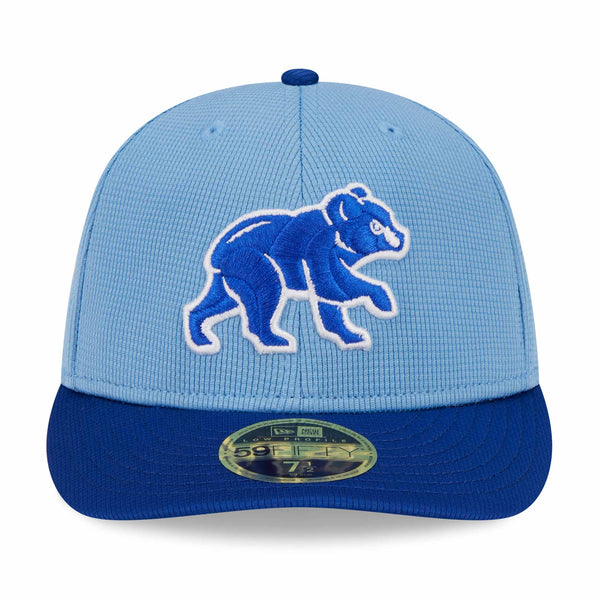 Chicago Cubs 2024 Spring Training 59FIFTY Low Profile Fitted Cap