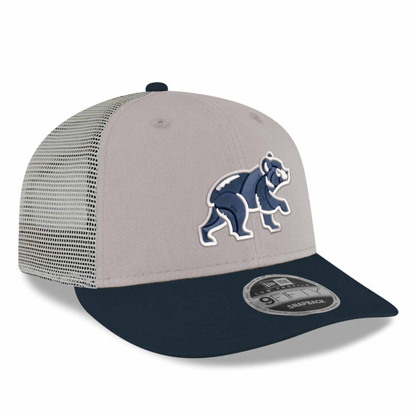 Chicago Cubs Stone & Navy Spring Training 9FIFTY Low Profile Snapback