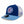 Load image into Gallery viewer, Chicago Cubs 9FIFTY Low Profile Throwback Walking Bear Circle Cap
