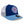 Load image into Gallery viewer, Chicago Cubs 9FIFTY Low Profile Throwback Walking Bear Circle Cap
