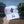 Load image into Gallery viewer, Chicago Cubs 47 Brand Blues Rock Bear Logo White Clean Up Adjustable Cap

