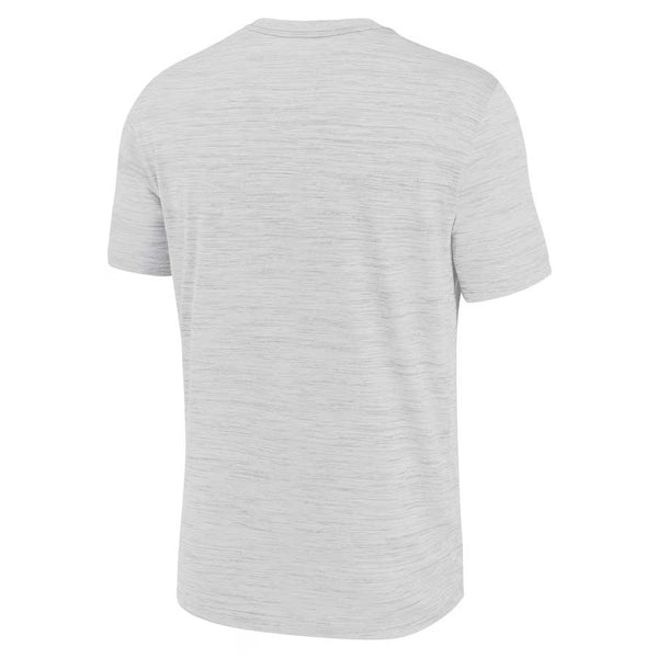 Chicago Cubs 2025 Nike Authentic Collection Grey Velocity Dri Fit T Shirt