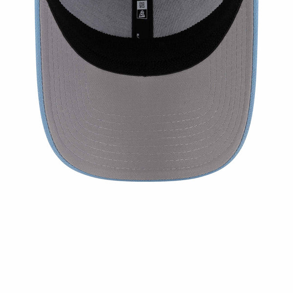 Chicago Cubs New Era 9FORTY Baby Blue Pinstripe 1969 Bear Adjustable Cap