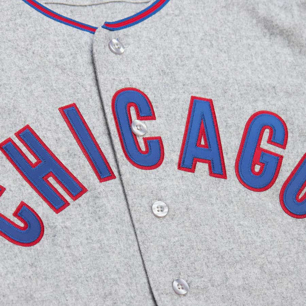 Chicago Cubs Ron Santo 1968 Mitchell & Ness Authentic Road Jersey