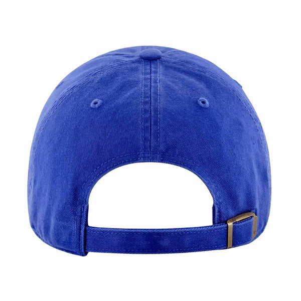 The Ryno Obvious Shirts Adjustable Dad Cap