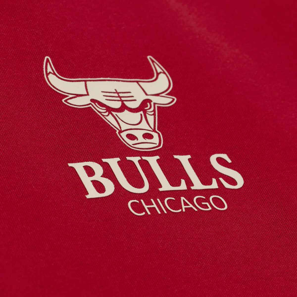 Chicago Bulls Mitchell And Ness Essentials Fleece Red Hooded Sweatshirt