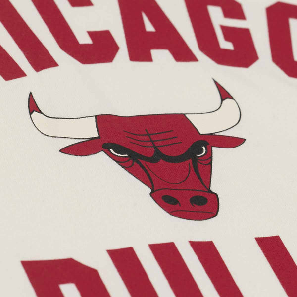 Chicago Bulls Mitchell And Ness Women's Retro Roots Boxy Yoke Crop Top Tee Shirt