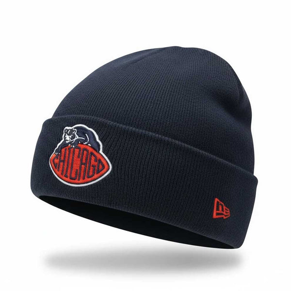 Chicago Bears 2026 Rivalries SKLLY On Field Knit Hat