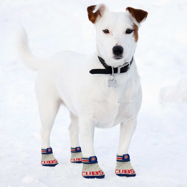 Chicago Cubs Pet Socks