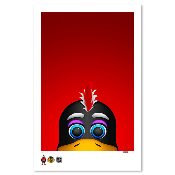Chicago Blackhawks Tommy Hawk 11X17 Photo