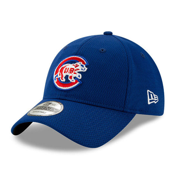 Chicago Cubs 2020 Batting Practice 9TWENTY Adjustable Cap