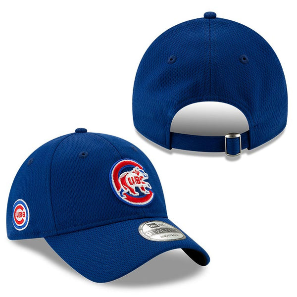 Chicago Cubs 2020 Batting Practice 9TWENTY Adjustable Cap