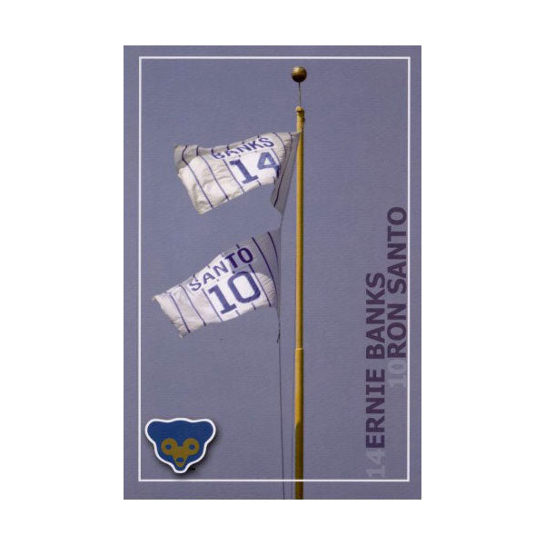 Santo and Banks Flags Post Card