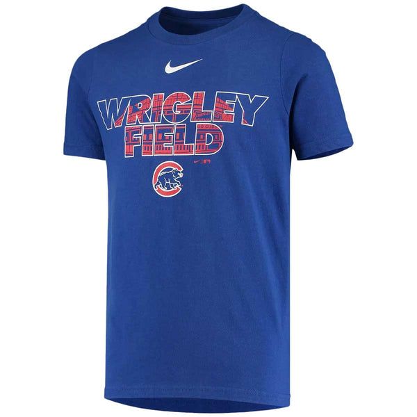Chicago Cubs Youth Nike City Highlight T-Shirt
