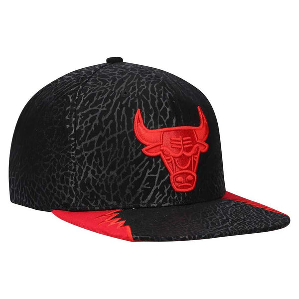 Chicago Bulls Day Five Snapback Adjustable Cap