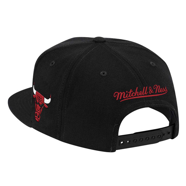 Chicago Bulls Foundation Script Snapback Adjustable Cap