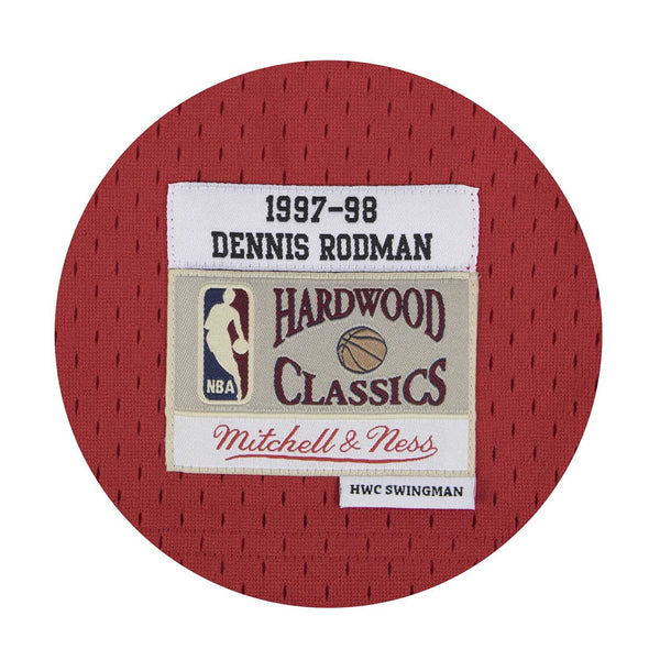 Chicago Bulls Dennis Rodman Swingman Replica Jersey
