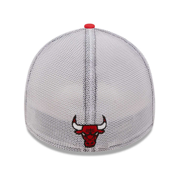 Chicago Bulls Team Banded 39THIRTY Flex Fit Cap