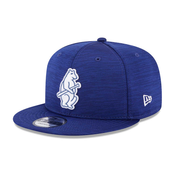 Chicago Cubs 2023 Vintage Clubhouse 9FIFTY Snapback