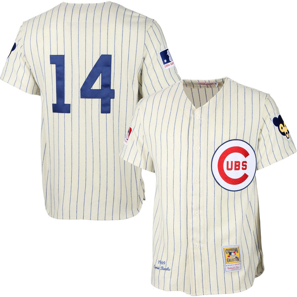 Chicago Cubs Ernie Banks 1969 Mitchell & Ness Authentic Home Jersey