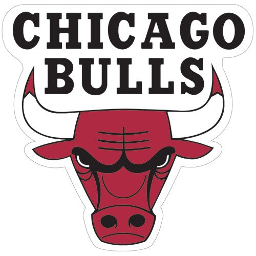 Chicago Bulls Acrylic Magnet